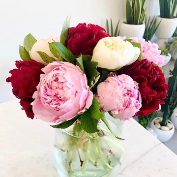 Bouquet PIVOINE