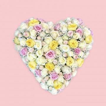 Cœur pastel